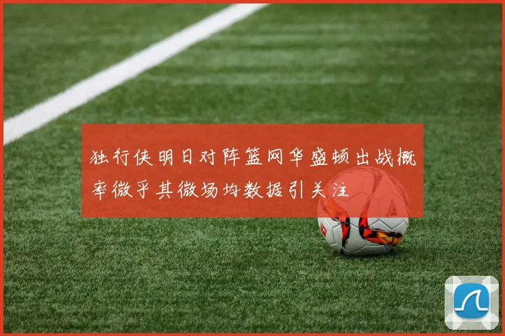 独行侠明日对阵篮网华盛顿出战概率微乎其微场均数据引关注